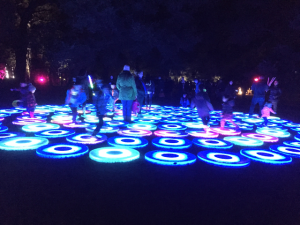 Interactive Lighting at Descanso Gardens